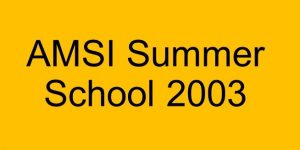 amsi-summer-school-2003-resized