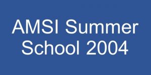 amsi-summer-school-2004-resized